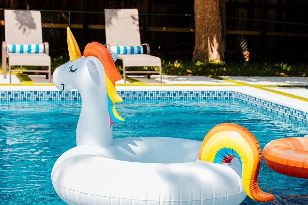 New Miami Home, Pool Near Airport And Beaches, King Bed Esterno foto